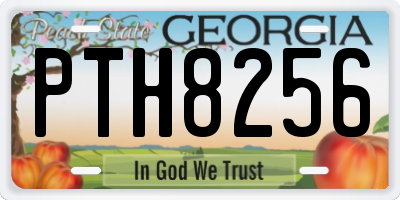 GA license plate PTH8256