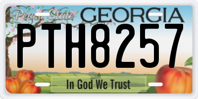 GA license plate PTH8257