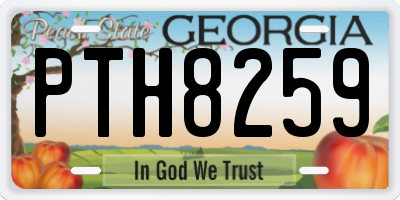 GA license plate PTH8259