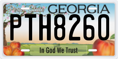 GA license plate PTH8260