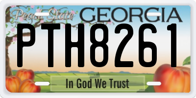 GA license plate PTH8261