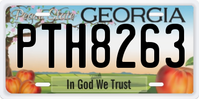 GA license plate PTH8263