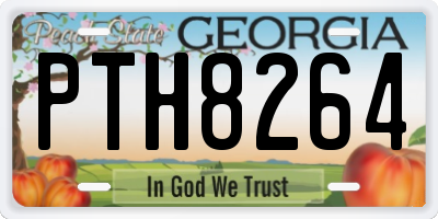 GA license plate PTH8264