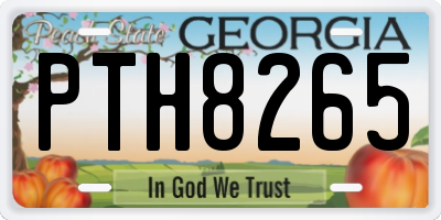 GA license plate PTH8265
