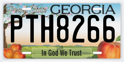 GA license plate PTH8266