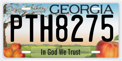 GA license plate PTH8275