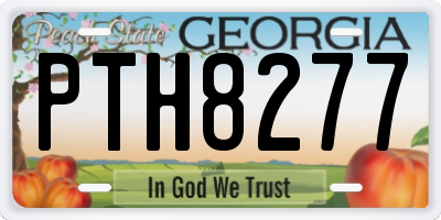 GA license plate PTH8277