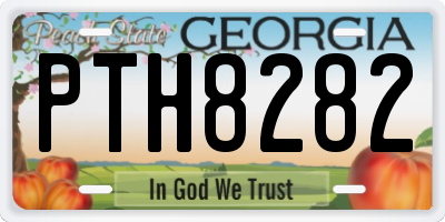 GA license plate PTH8282