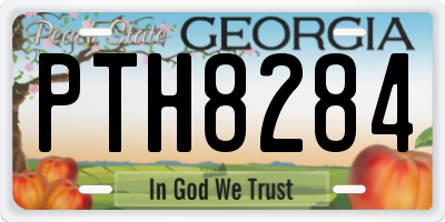 GA license plate PTH8284
