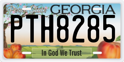 GA license plate PTH8285