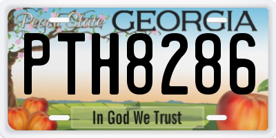 GA license plate PTH8286