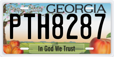 GA license plate PTH8287