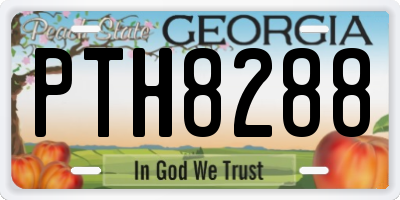GA license plate PTH8288