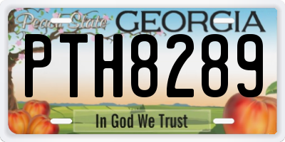 GA license plate PTH8289