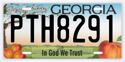 GA license plate PTH8291