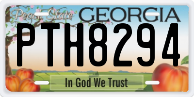 GA license plate PTH8294