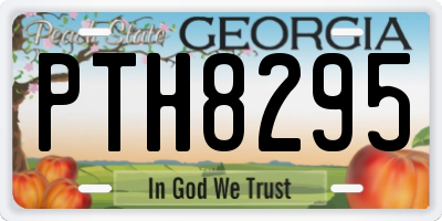 GA license plate PTH8295