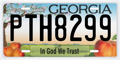 GA license plate PTH8299