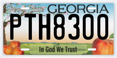 GA license plate PTH8300