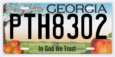 GA license plate PTH8302
