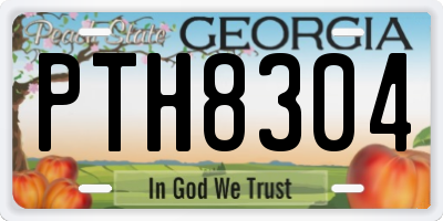 GA license plate PTH8304