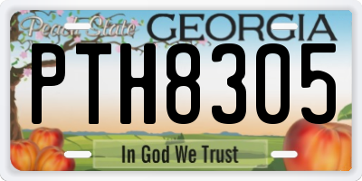 GA license plate PTH8305