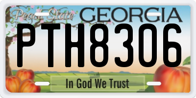 GA license plate PTH8306