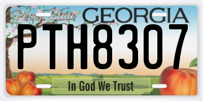 GA license plate PTH8307