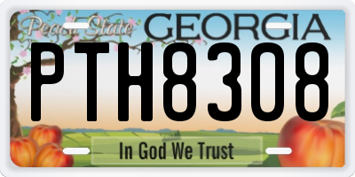 GA license plate PTH8308