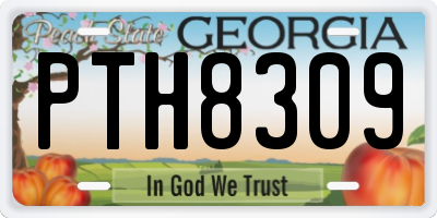 GA license plate PTH8309