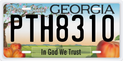 GA license plate PTH8310