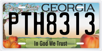GA license plate PTH8313