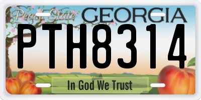 GA license plate PTH8314