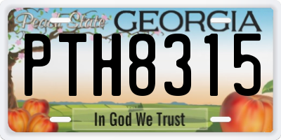 GA license plate PTH8315