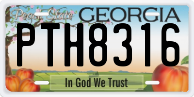 GA license plate PTH8316