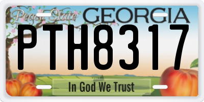 GA license plate PTH8317