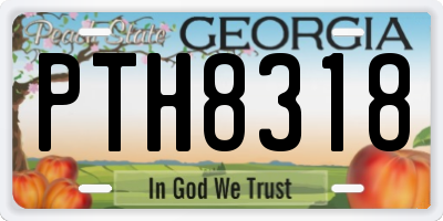 GA license plate PTH8318