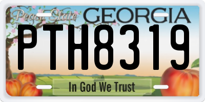 GA license plate PTH8319