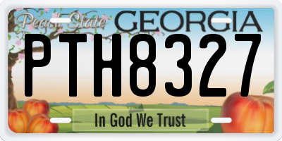 GA license plate PTH8327