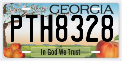 GA license plate PTH8328