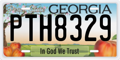 GA license plate PTH8329