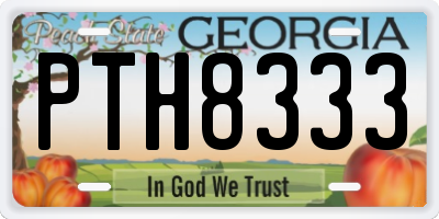 GA license plate PTH8333