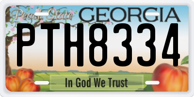GA license plate PTH8334