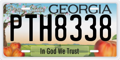 GA license plate PTH8338