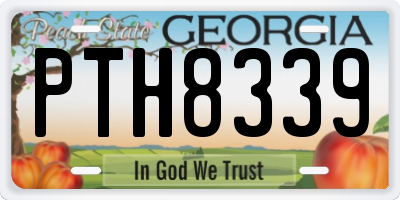 GA license plate PTH8339