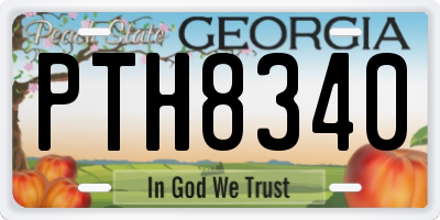 GA license plate PTH8340