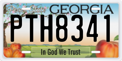 GA license plate PTH8341