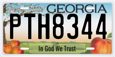GA license plate PTH8344