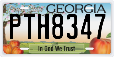 GA license plate PTH8347