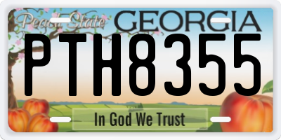 GA license plate PTH8355
